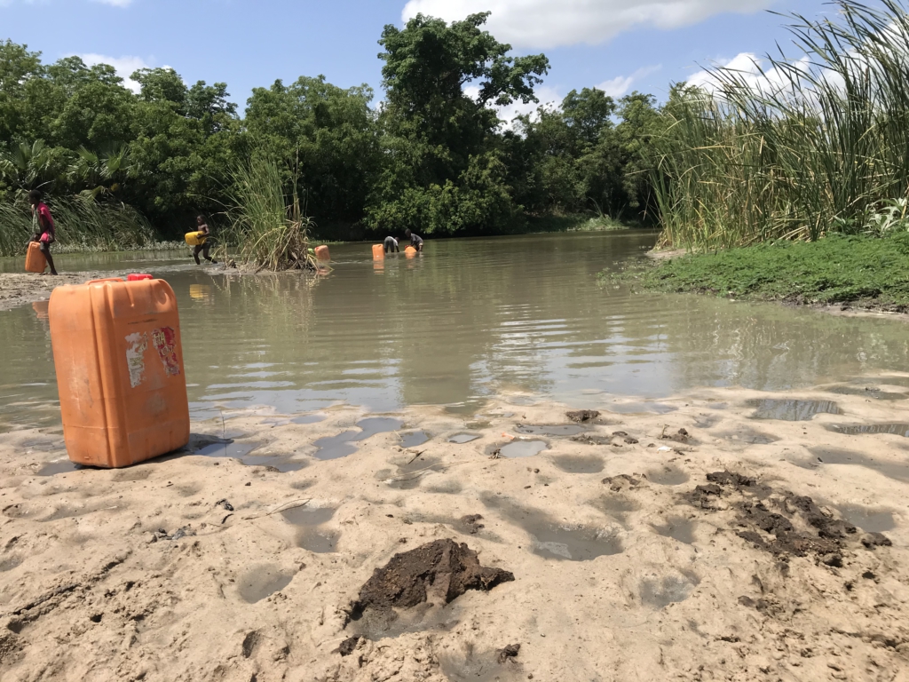 Srekpe and surrounding communities share water sources with animals