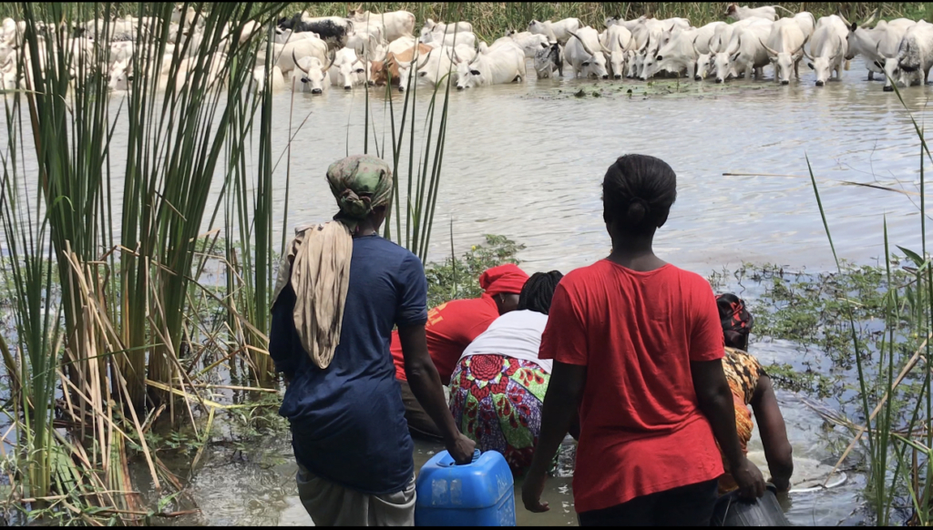 Srekpe and surrounding communities share water sources with animals