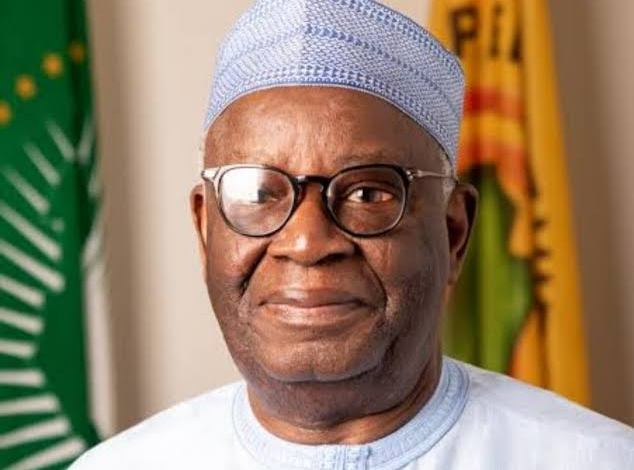 Burglars target Nigeria president's chief of staff - MyJoyOnline.com