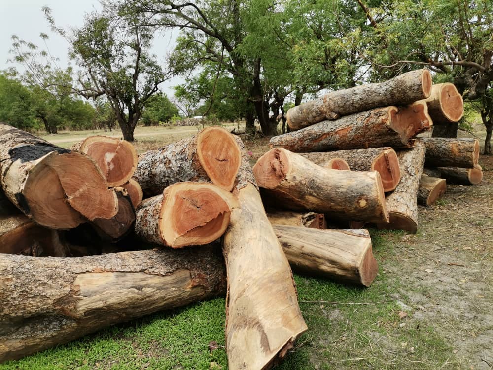 DCEs, MPs, assembly members upbeat about rosewood forum
