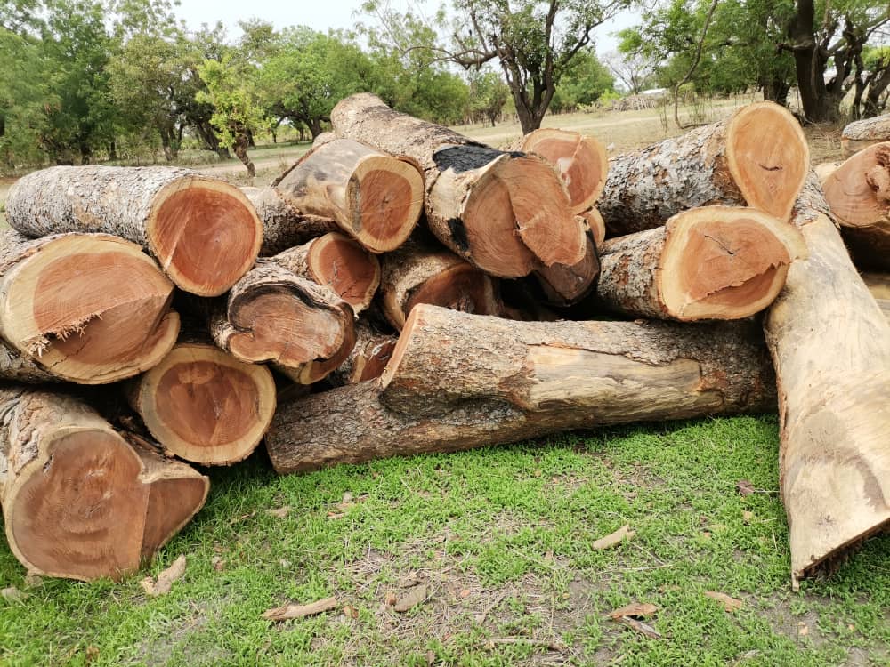 DCEs, MPs, assembly members upbeat about rosewood forum