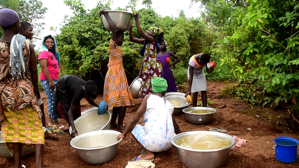 Nkwanta North residents fear possible re-emergence of guinea worm infestation 