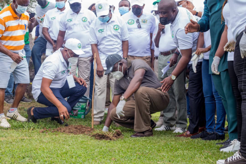 Photos: Ghana plants 5 million trees today