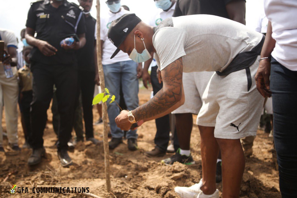 Photos: Ghana plants 5 million trees today