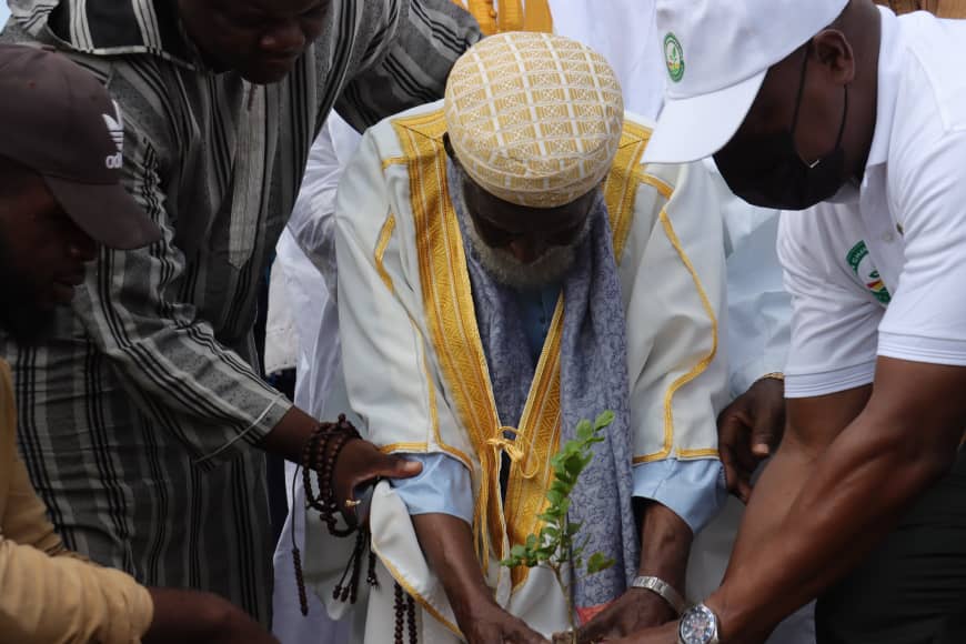 Photos: Ghana plants 5 million trees today