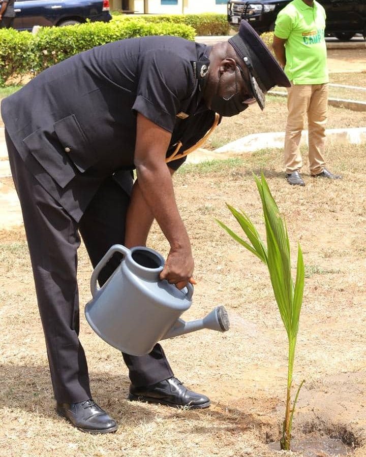 Photos: Ghana plants 5 million trees today