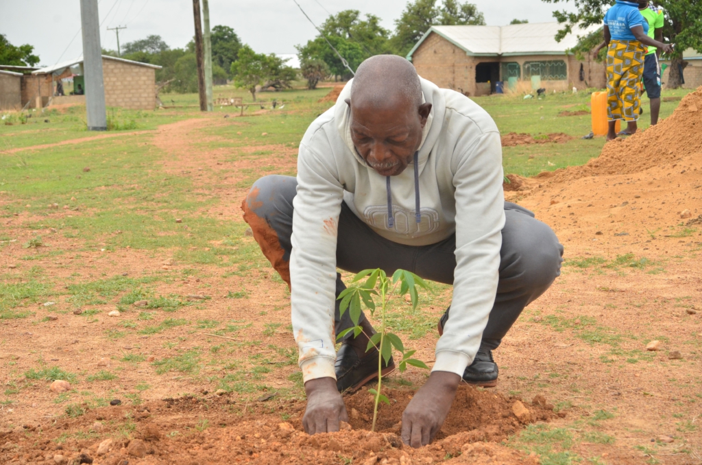 Green Ghana Day: GhaFFaP aims to plant 3 million trees to support government’s cause