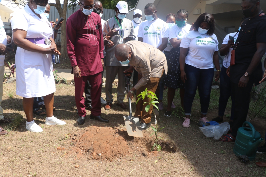 Photos: Ghana plants 5 million trees today