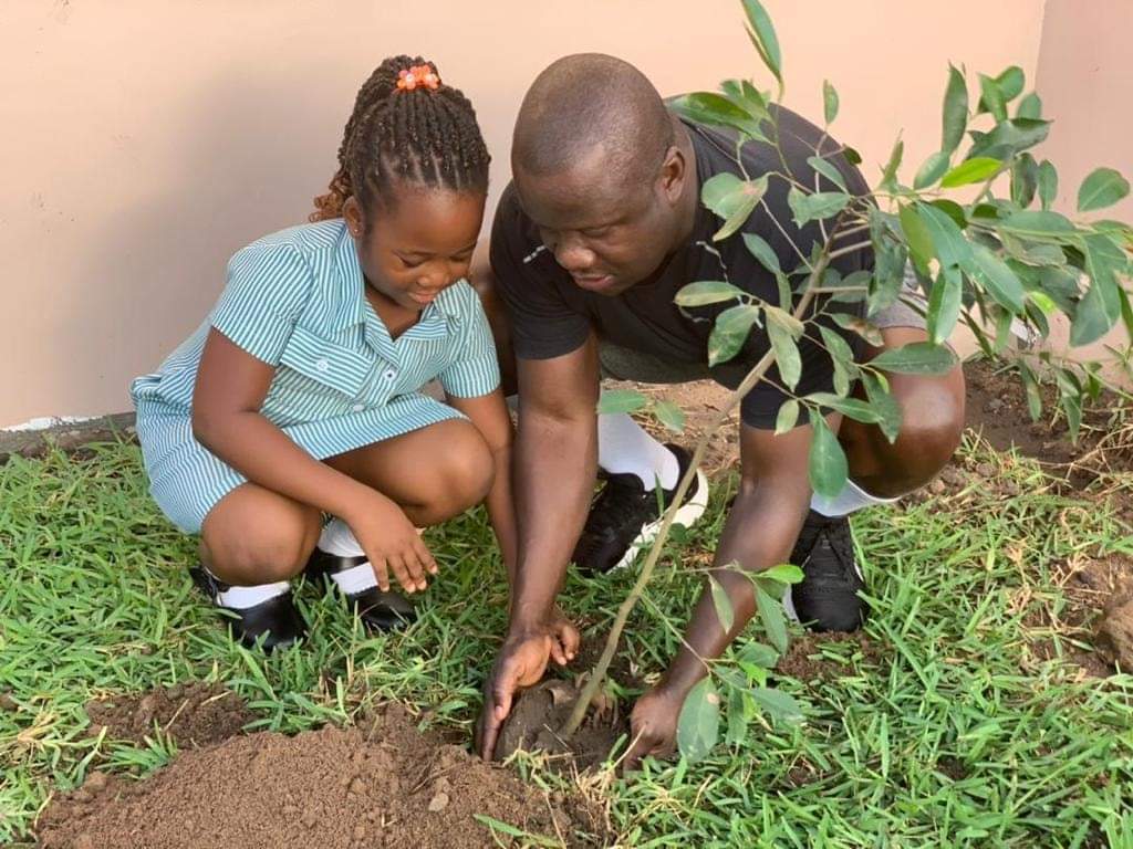 Photos: Ghana plants 5 million trees today