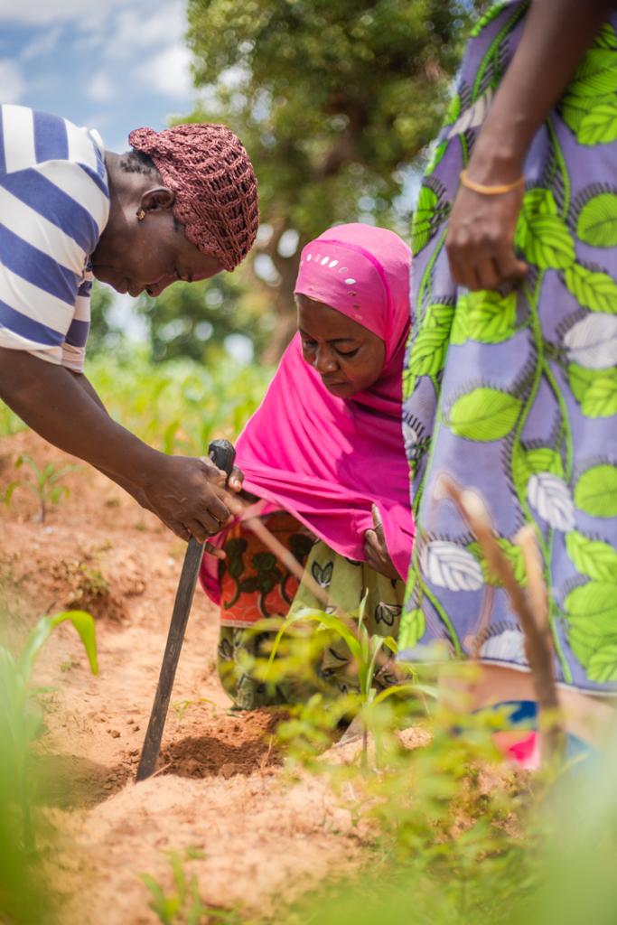 Global Shea Alliance celebrates Shea Month in July