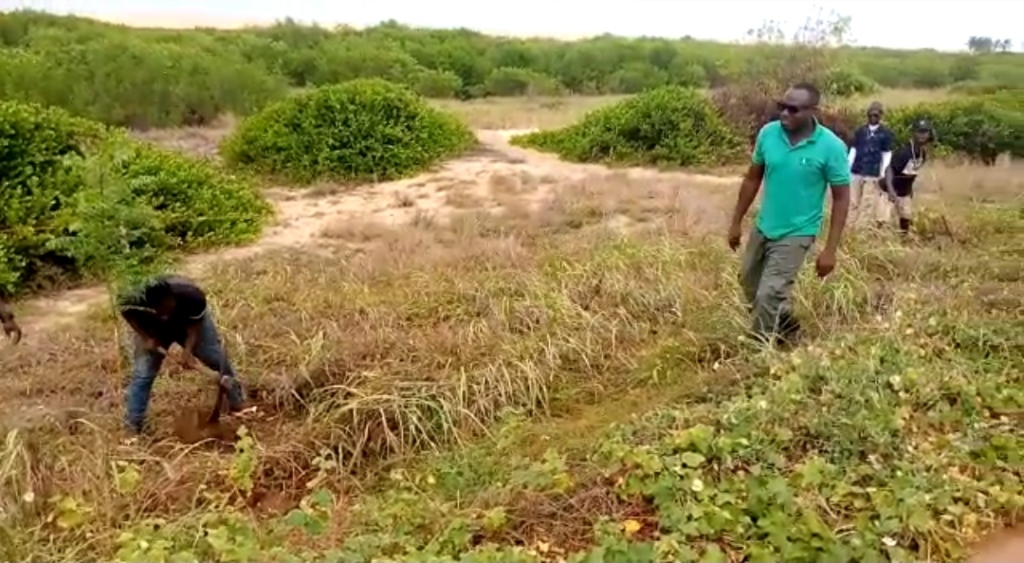 Cultivate habit of tree planting - CEO of Denyigbalorlor Foundation urges communities in Volta Region