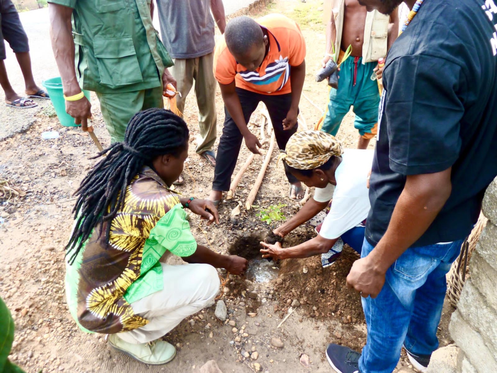 Cultivate habit of tree planting - CEO of Denyigbalorlor Foundation urges communities in Volta Region