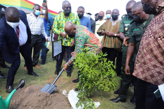 Akufo-Addo plants 'tree of life' to mark Green Ghana Day - MyJoyOnline.com