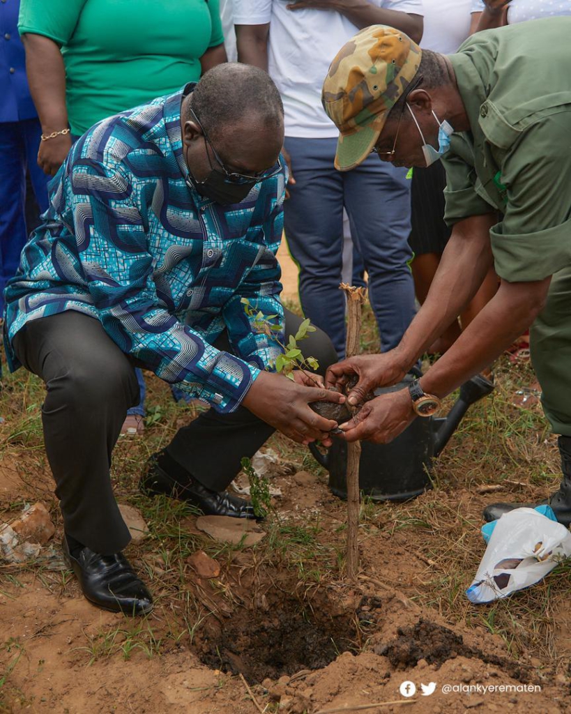 Green Ghana Project: Let’s plant more to create jobs - Alan Kyerematen