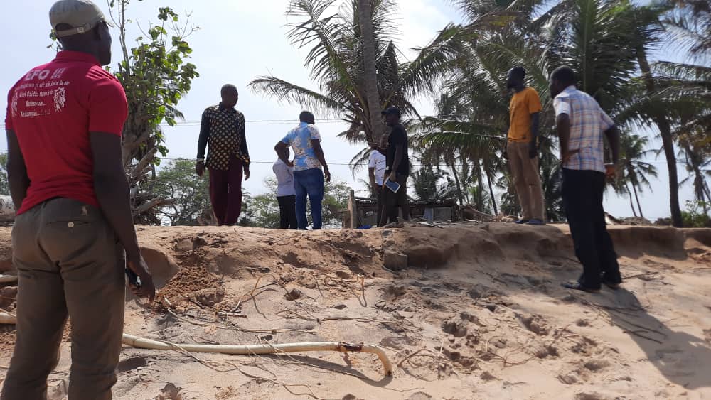 Save our coconut trees in coastal areas instead of introducing foreign dwarf coconut trees - Togbui Fiti to government Save our coconut trees in coastal areas instead of introducing foreign dwarf coconut trees - Togbui Fiti to government