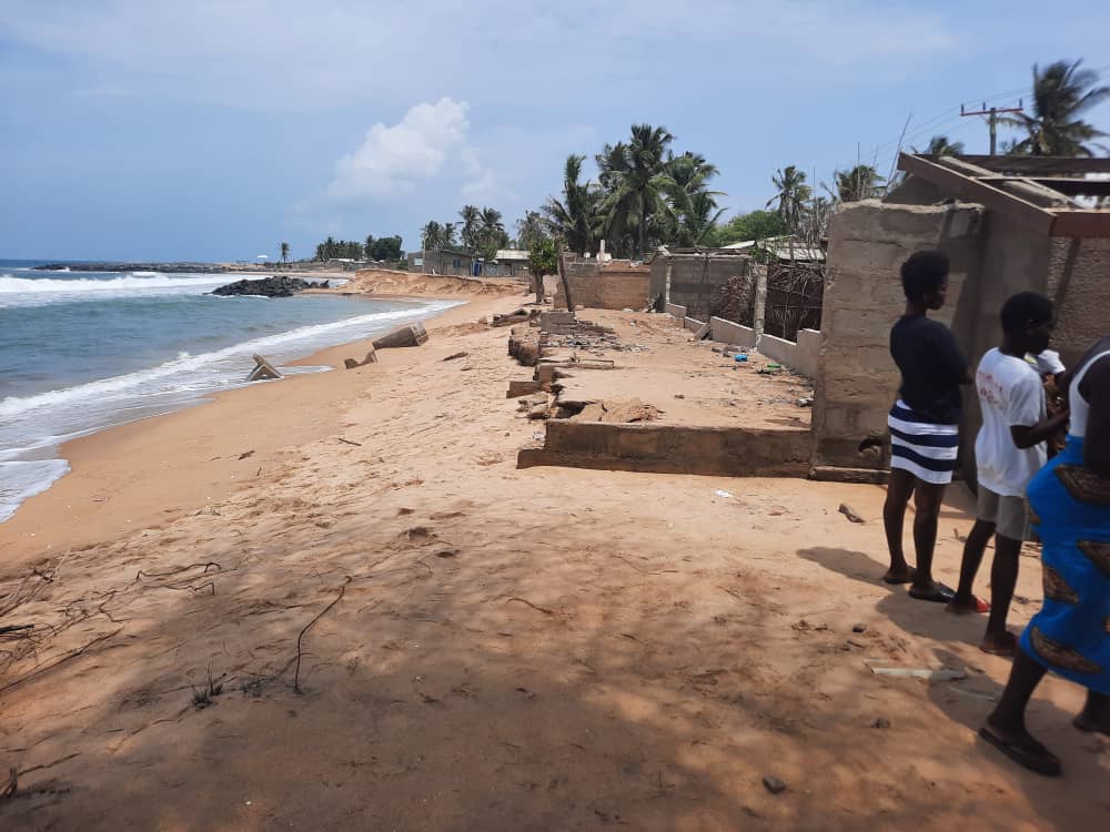 Save our coconut trees in coastal areas instead of introducing foreign dwarf coconut trees - Togbui Fiti to government Save our coconut trees in coastal areas instead of introducing foreign dwarf coconut trees - Togbui Fiti to government