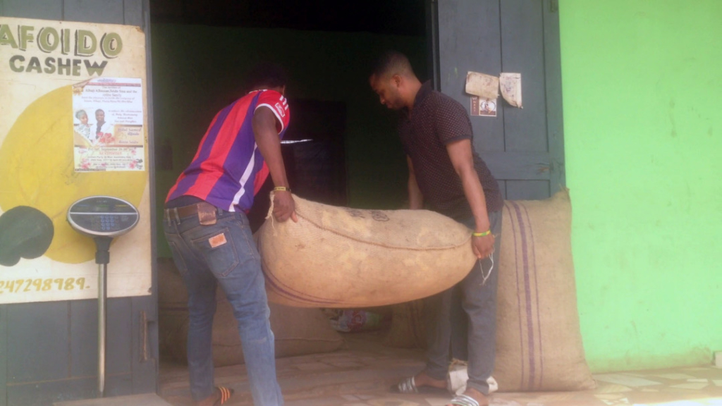 Poor pricing regime of raw cashew nuts negatively affecting production - Merchant laments