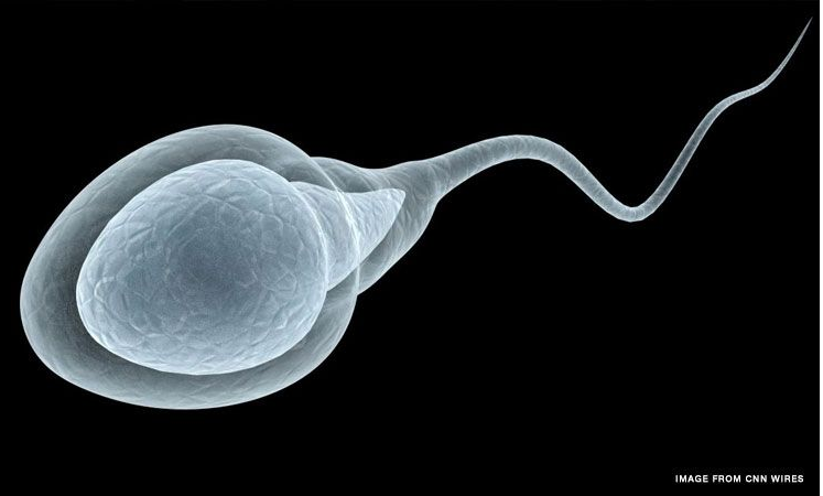 Men now “topping chart” in fertility issues as spe