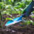 World Bank projects sharp rise in global fertiliser prices in 2026, warns of food inflation risks
