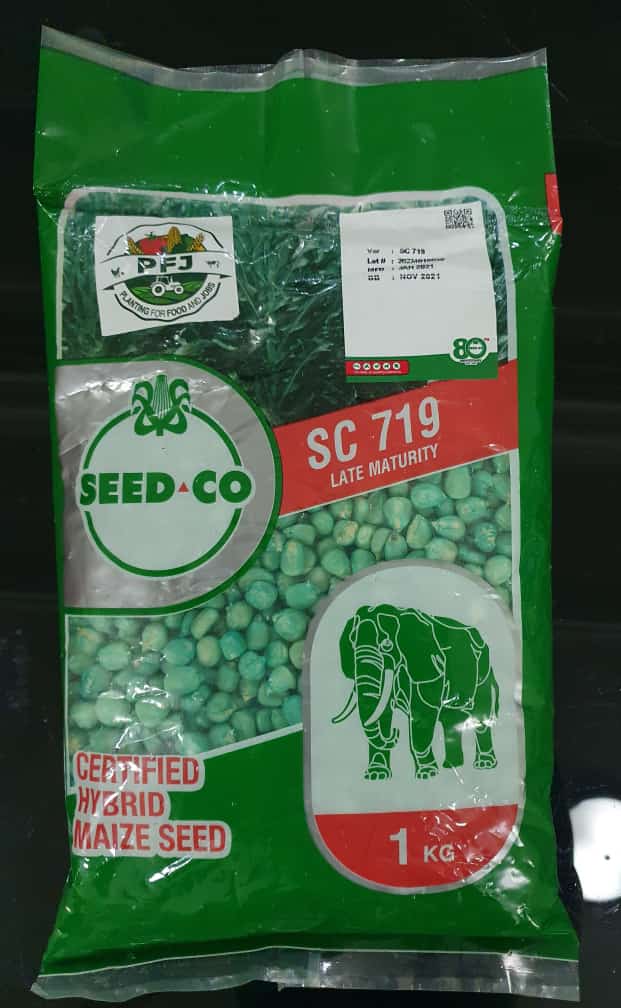 AMG Fertilizers introduces SC719 hybrid maize seeds