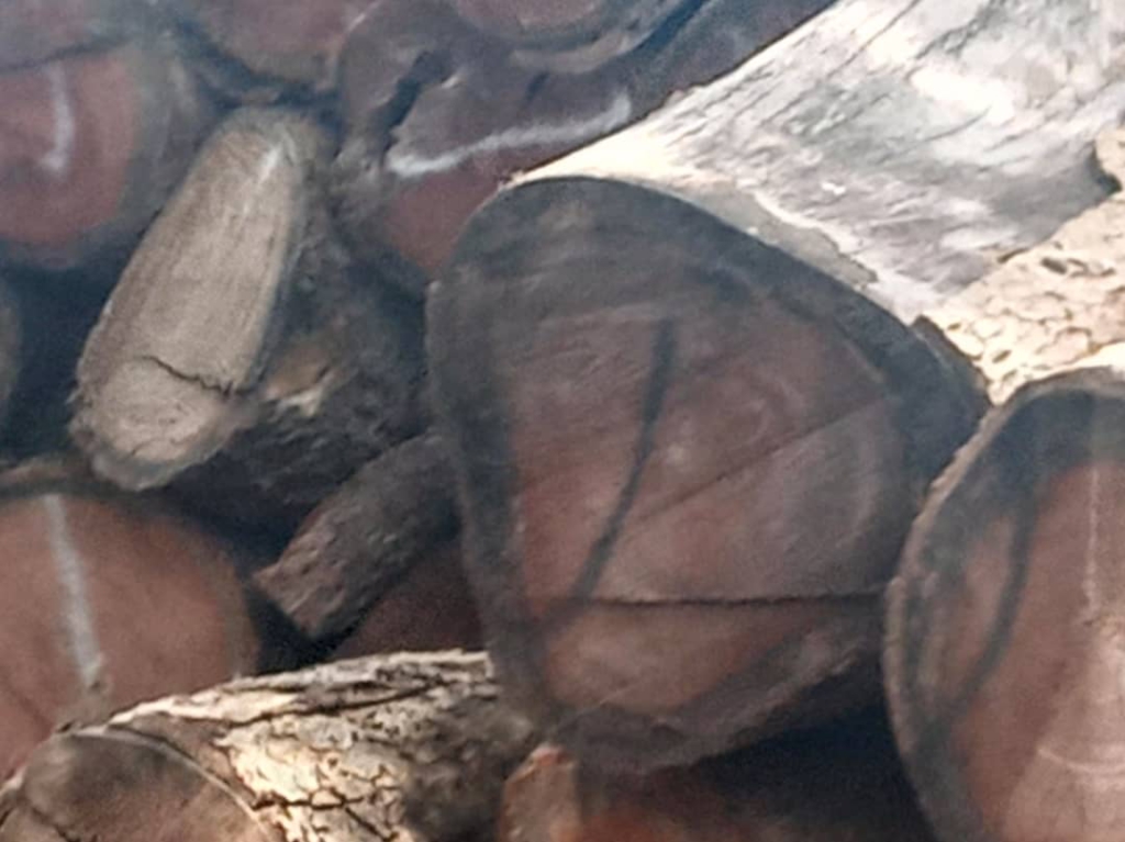 Revise 1-month window on already cut logs decision with immediate effect - SREGSEC to SRHCs Revise 1-month window on already cut logs decision with immediate effect - SREGSEC to SRHCs