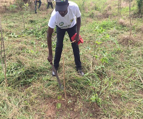 Forestry Commission sets-up inspection team under Green Ghana Project in Bono Region