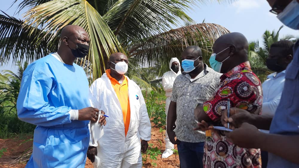 1,500 birds culled at Ketu South to prevent spread of bird flu