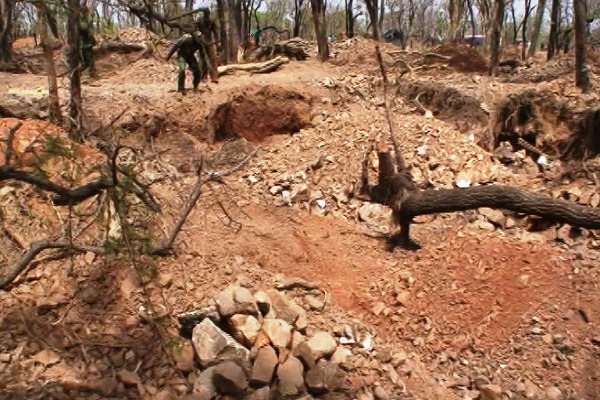 Government urged to create alternative livelihood for illegal miners