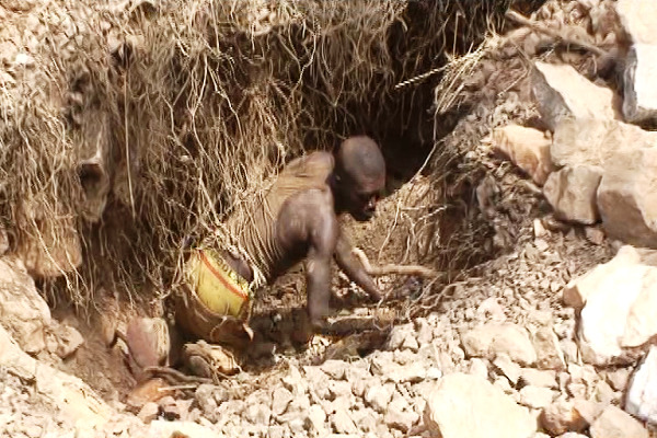 Government urged to create alternative livelihood for illegal miners