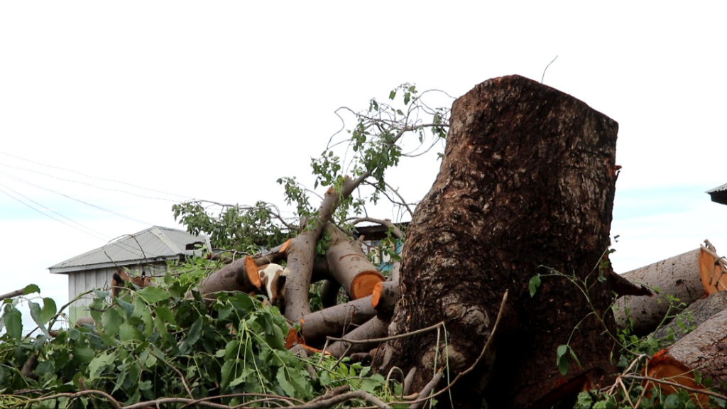 Commercial flights to resume at Wa airport following dismantling of telecommunication mast and trees