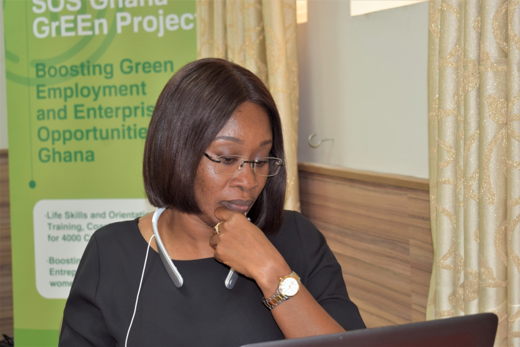 Start-ups offered support to explore Ghana's budding Green Economy