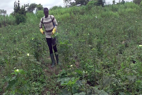 Best farmer bemoans widespread abuse of agrochemicals