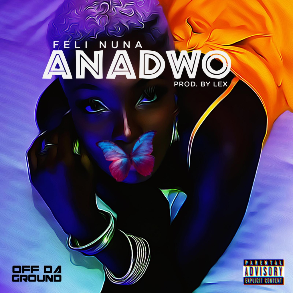 Feli Nuna releases new song, 'Anadwo'