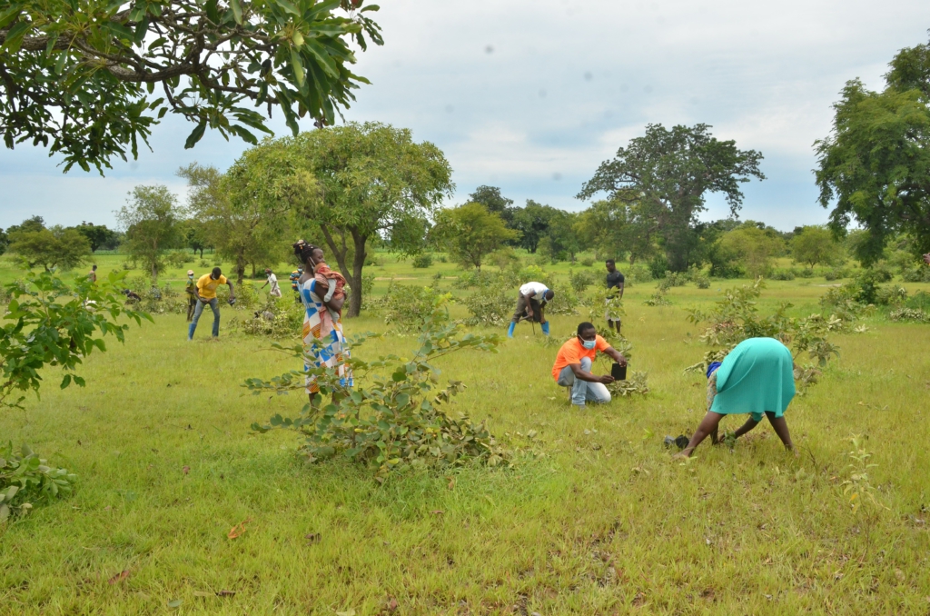 Setanga community plant trees to mitigate impact of climate of change