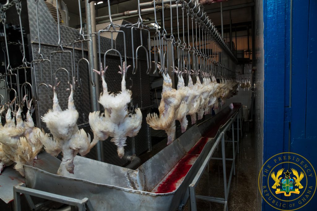 One District, One Factory initiative revitalises Darko Farms One District, One Factory initiative revitalises Darko Farms