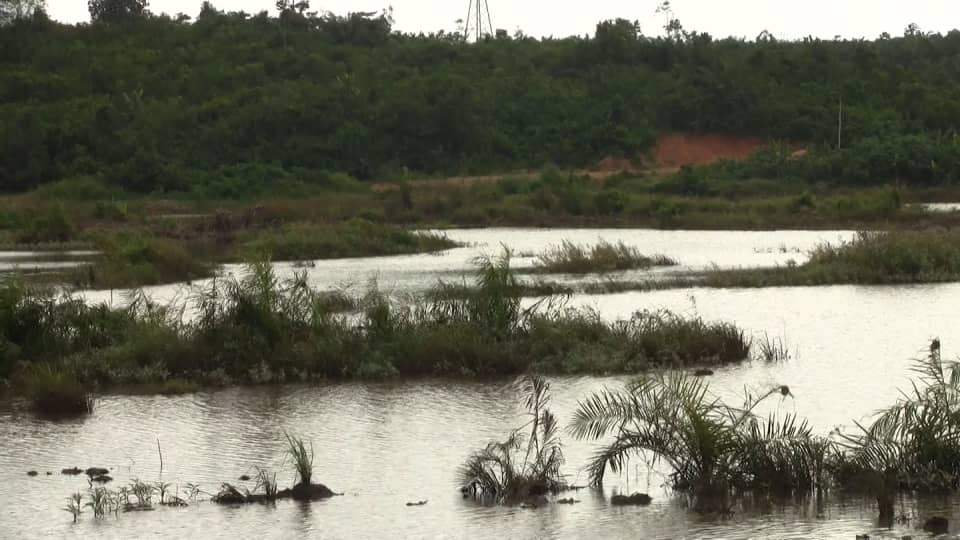 Stop conniving with foreign tile makers to shortchange Ghana – Mireku Duker to illegal clay miners Stop conniving with foreign tile makers to shortchange Ghana – Mireku Duker to illegal clay miners