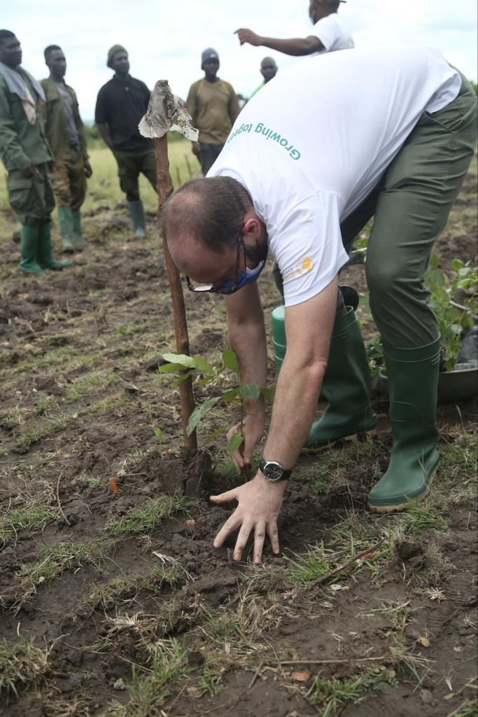 Advans Ghana plants 1,100 trees to reverse impact of climate change