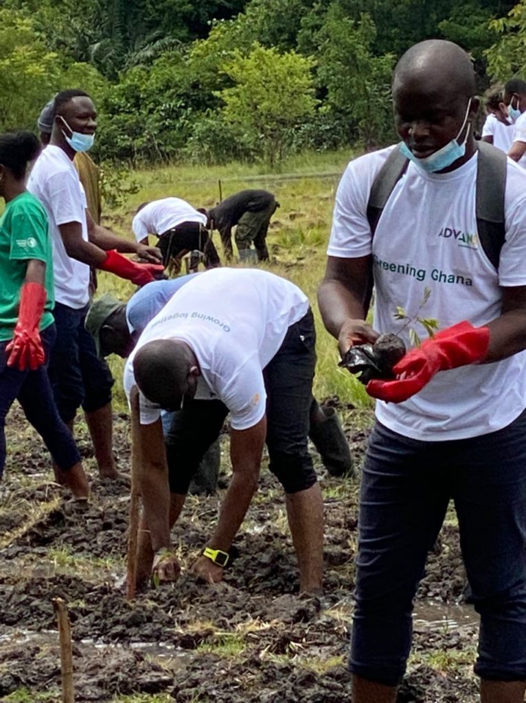 Advans Ghana plants 1,100 trees to reverse impact of climate change