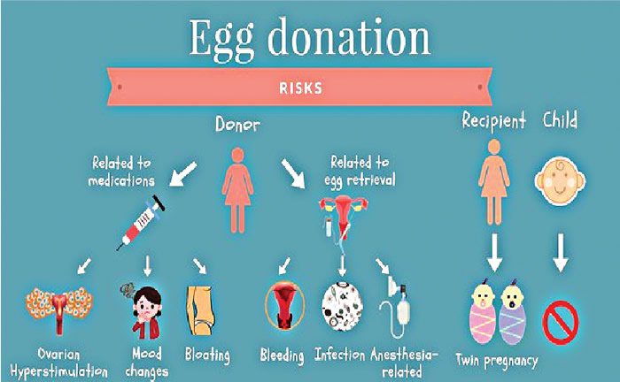 Inside Nigeria’s unregulated human egg industry