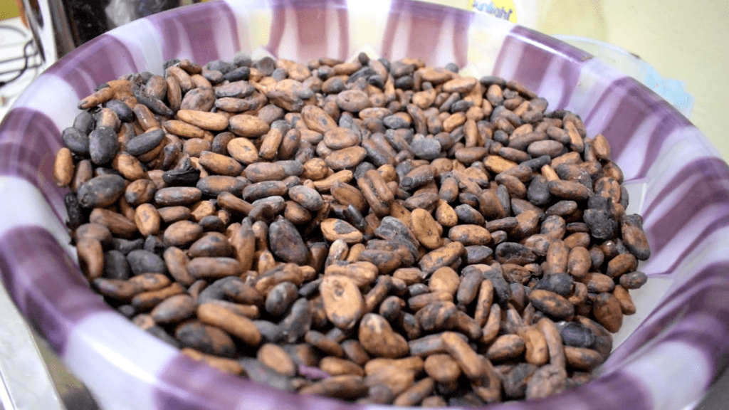 Farmers to demonstrate against implementation of cocoa farmers pension scheme