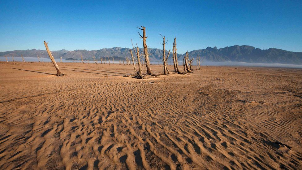 Cape Town's Day Zero: 'We are axing trees to save water'
