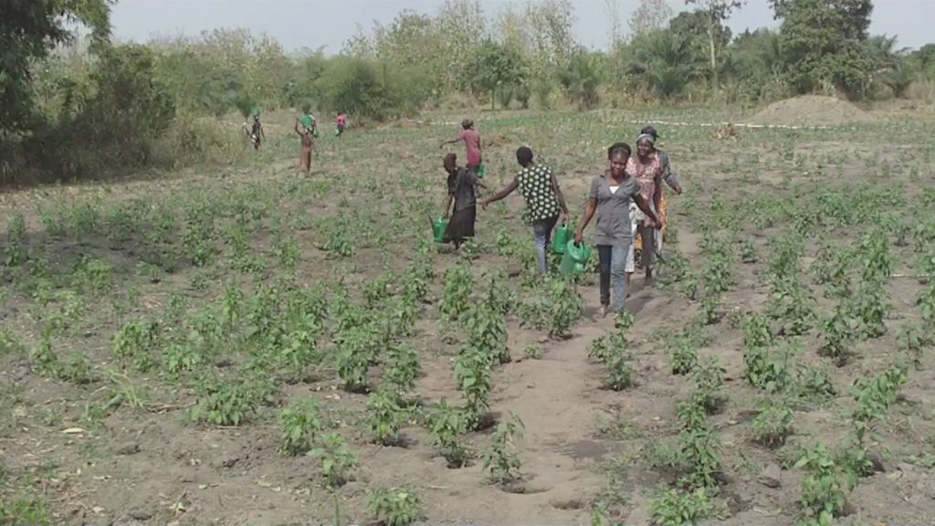 Smallholder women farmers call for policymaking inclusion