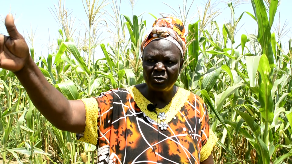 PFAG empowers women farmers as gender biases and bullying hinder their growth in Agric