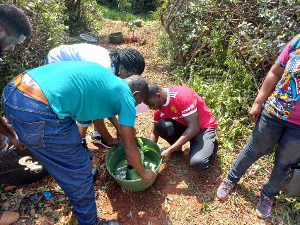 African-German Working Group contributes its quota to 'greening Ghana'