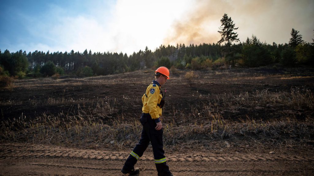 Doctor diagnoses woman with 'climate change' after breathing problems