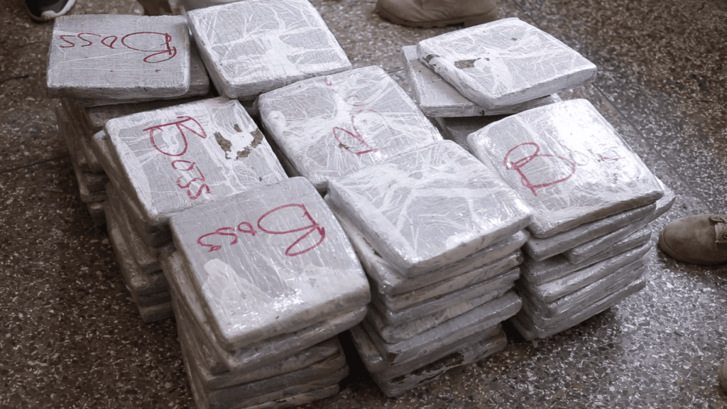 Immigration Service intercepts 1,490 slabs of suspected Indian hemp - MyJoyOnline.com