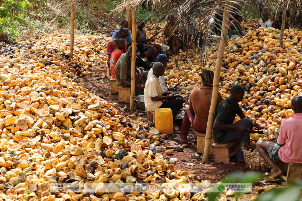 Climate change is real and Ghana is paying the price for it - Environment Minister