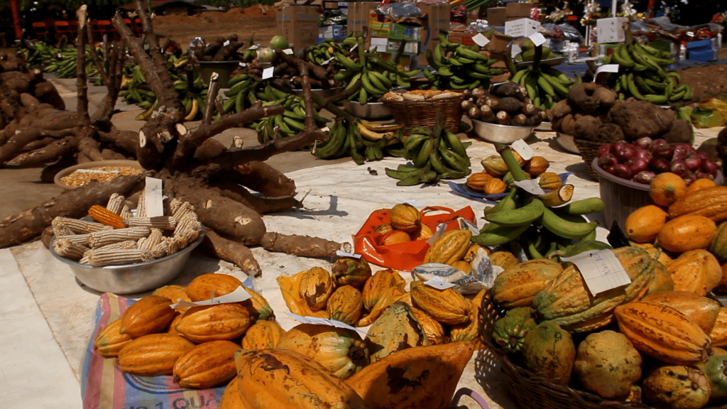 Amansie South DCE urges chiefs to make lands available for farmers