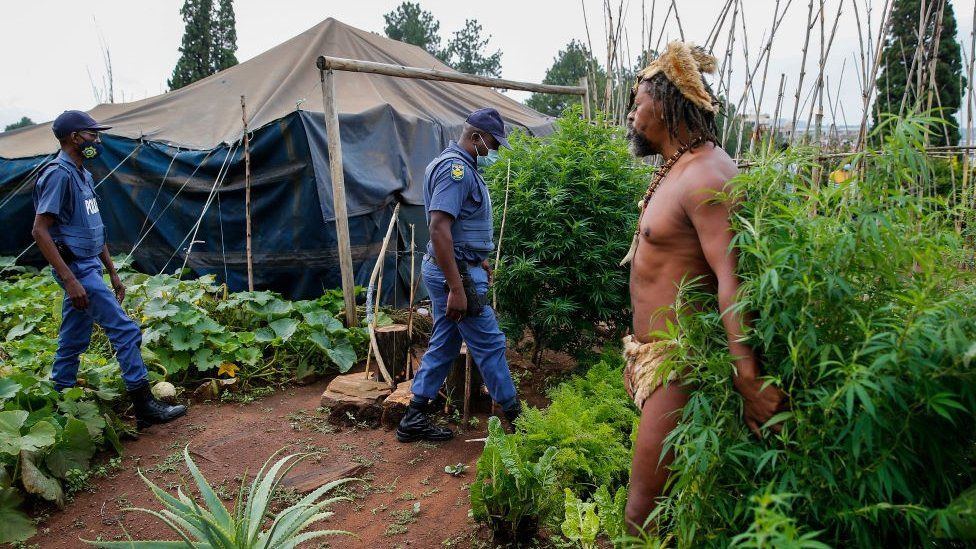 South Africa's 'King Khoisan' arrested over cannabis plants at president's office