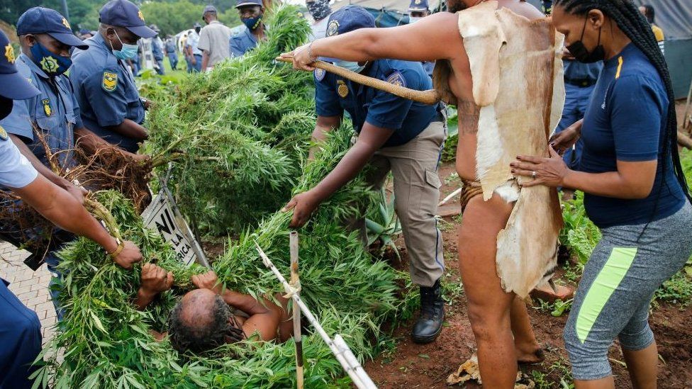 South Africa's 'King Khoisan' arrested over cannabis plants at president's office